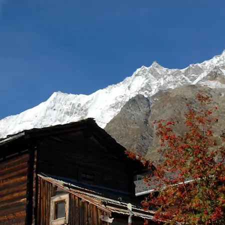 Lägenhet Alpenruh *